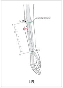 LI 9 Acupuncture Point Acupuncture Point Locations Review