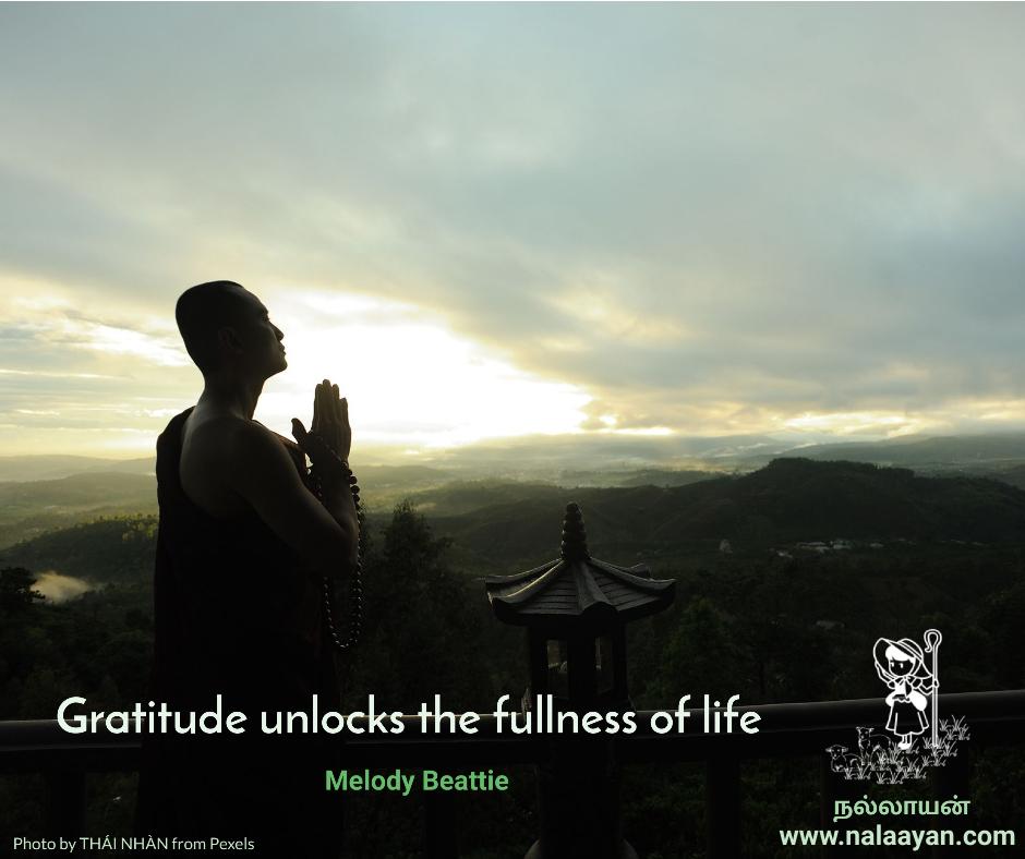 Melody Beattie on Gratitude