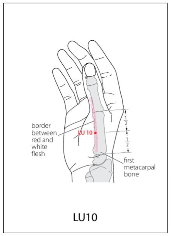 LU 10 Acupuncture Points