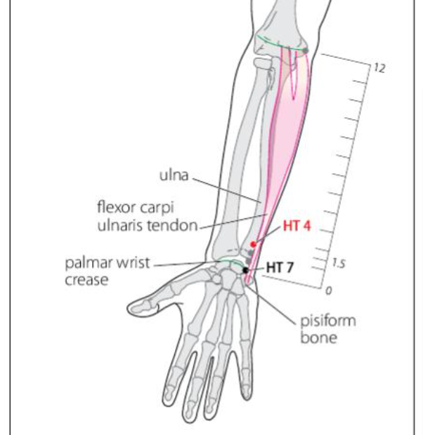 HT 4 Acupuncture Point