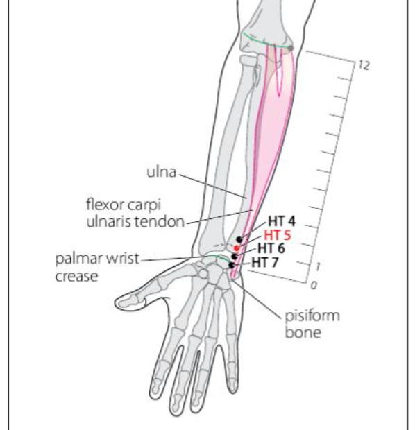 HT 5 Acupuncture Point
