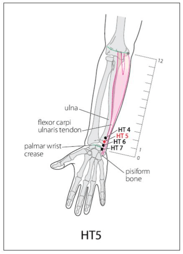 HT 5 Acupuncture Point
