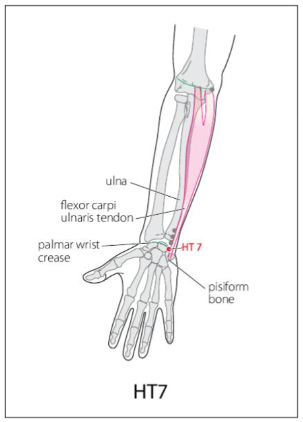 HT 7 Acupuncture Point