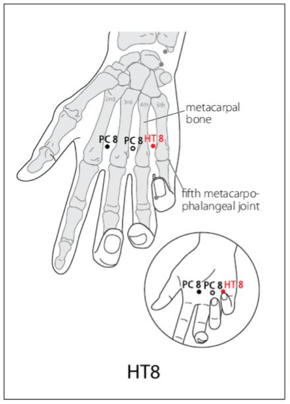 HT 8 Acupuncture Point