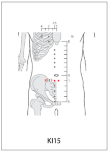 KI 15 Acupuncture Point - Acupuncture Point Locations Review