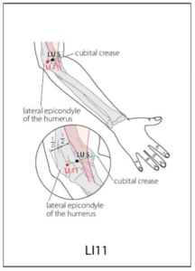 LI 11 Acupuncture Point - Acupuncture Point Locations Review