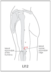 LI 12 Acupuncture Point - Acupuncture Point Locations Review