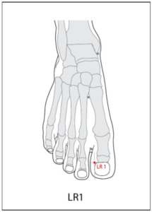 LR 1 Acupuncture Point - Acupuncture Point Locations Review