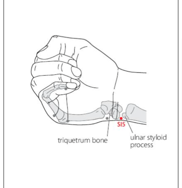SI 5 Acupuncture Point