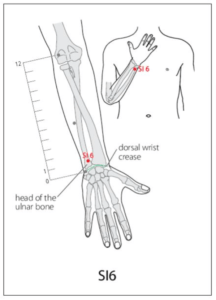 SI 6 Acupuncture Point - Good Shepherd