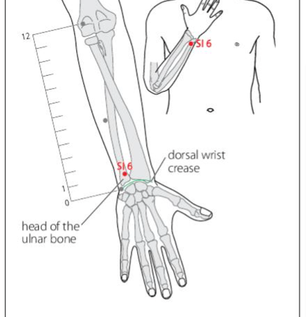 SI 6 Acupuncture Point