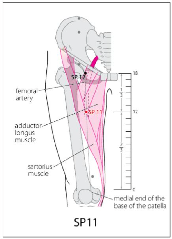 SP 11 Acupuncture Point