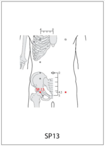 SP 13 Acupuncture Point - Acupuncture Point Locations Review