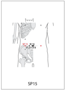 SP 15 Acupuncture Point - Acupuncture Point Locations Review