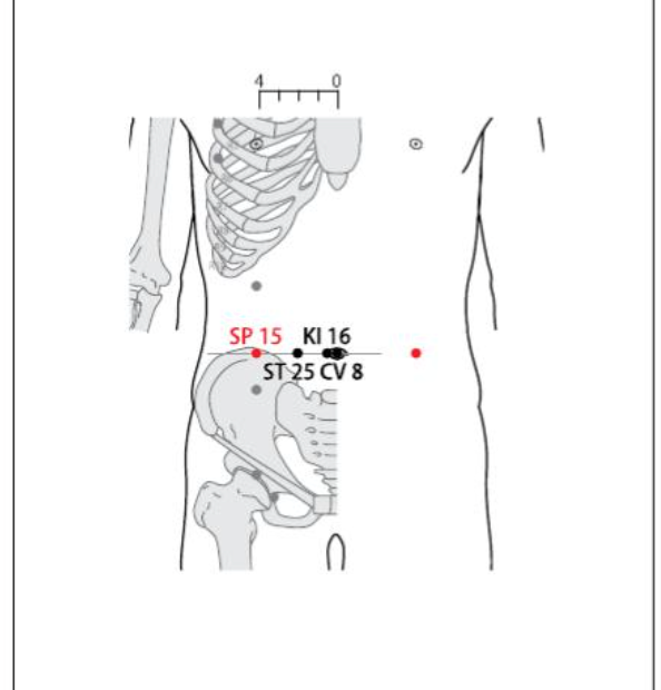SP 15 Acupuncture Point