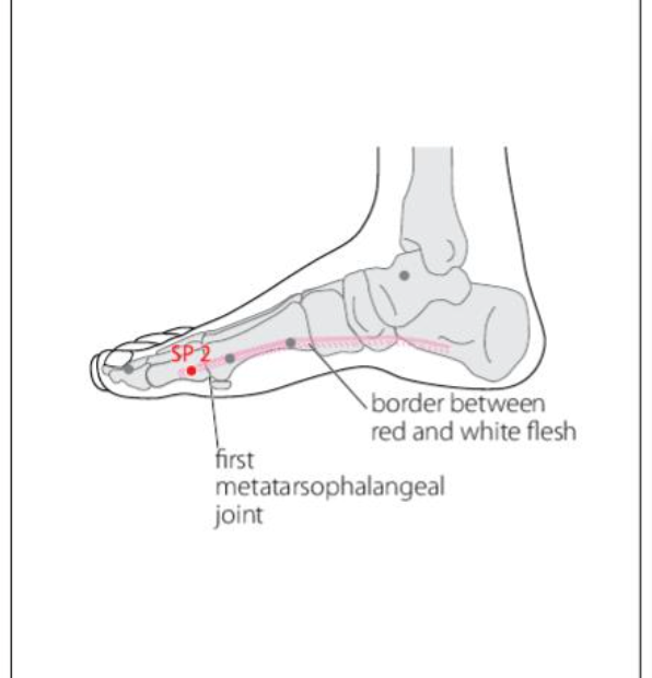 SP 2 Acupuncture Point