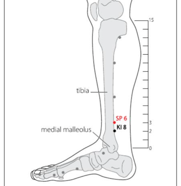 SP 6 Acupuncture Point