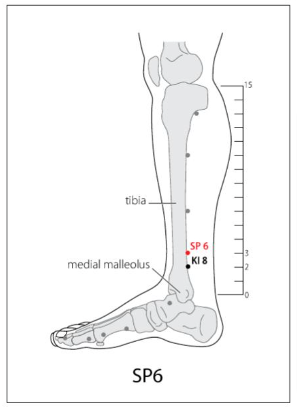 SP 6 Acupuncture Point
