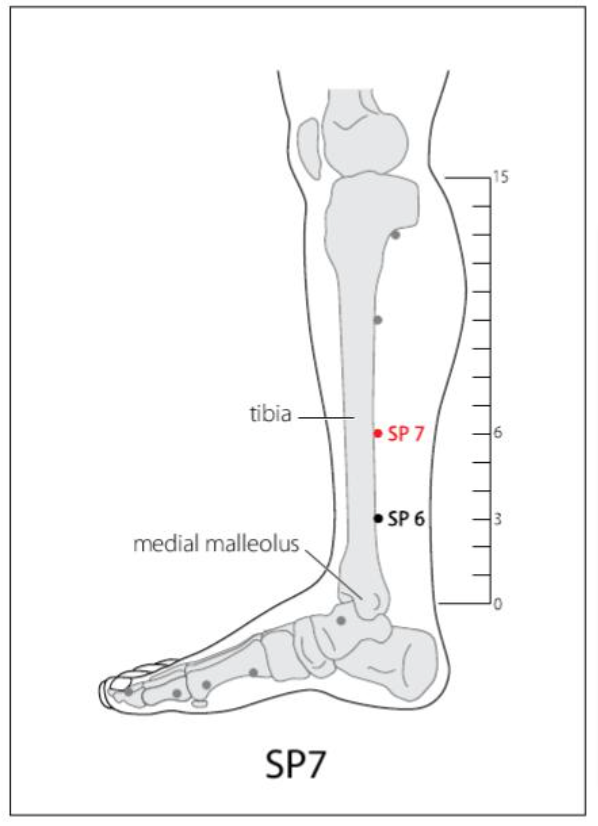 SP 7 Acupuncture Point