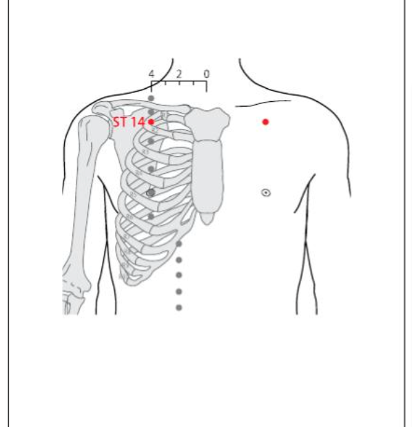 ST 14 Acupuncture Point