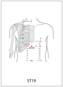 ST 19 Acupuncture Point - Acupuncture Point Locations Review