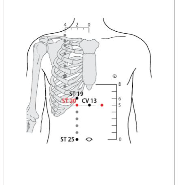 ST 20 Acupuncture Point
