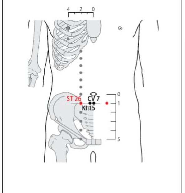 ST 26 Acupuncture Point