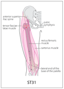 st-31-acupuncture-point-acupuncture-point-locations-review