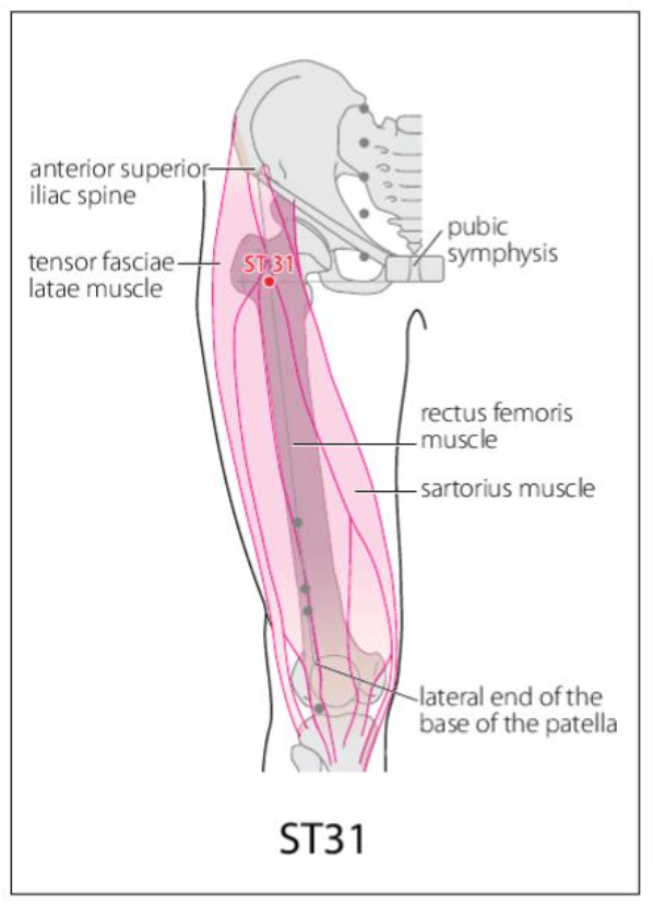 ST 31 Acupuncture Point