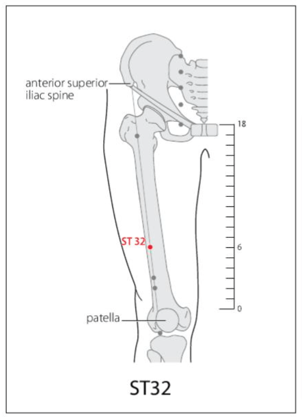 ST 32 Acupuncture Point