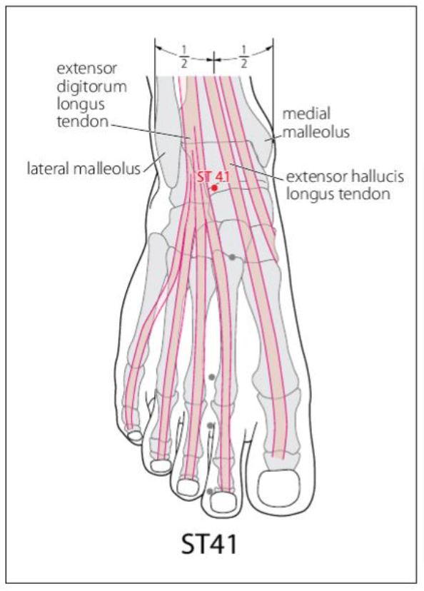 ST 41 Acupuncture Point