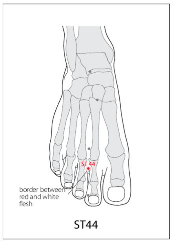 ST 44 Acupuncture Point