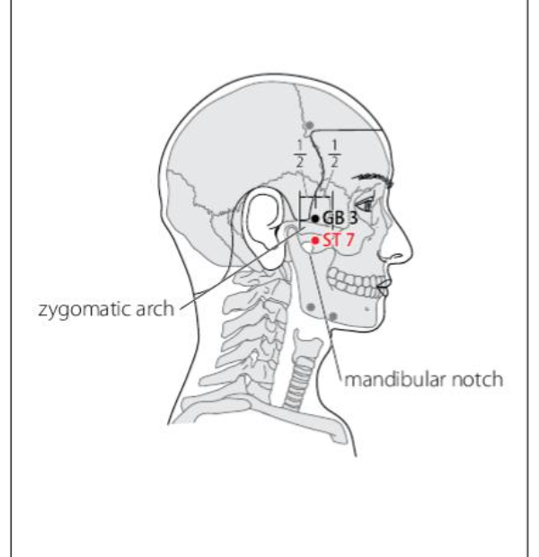 ST 7 Acupuncture Point