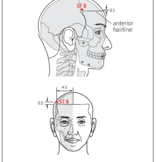 ST 8 Acupuncture Point
