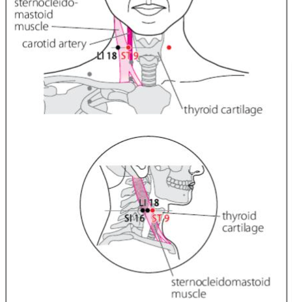 ST 9 Acupuncture Point