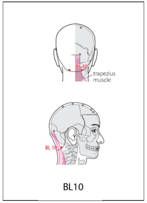 BL 10 Acupuncture Point