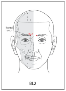 BL 2 Acupuncture Point - Acupuncture Point Locations Review