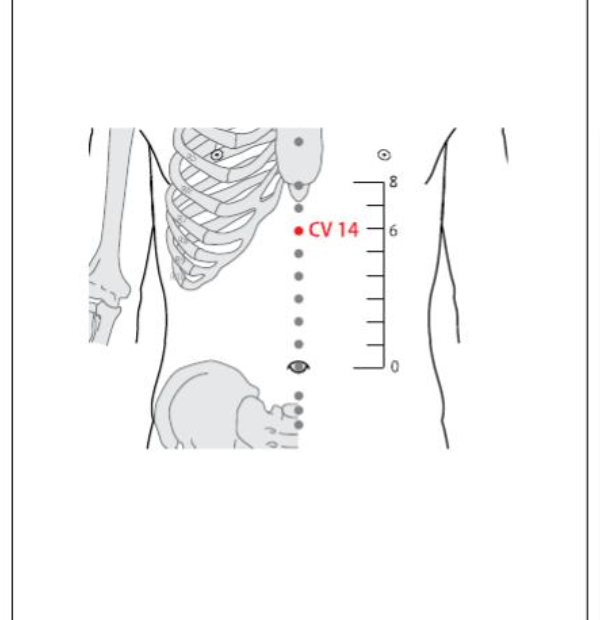CV 14 Acupuncture Point