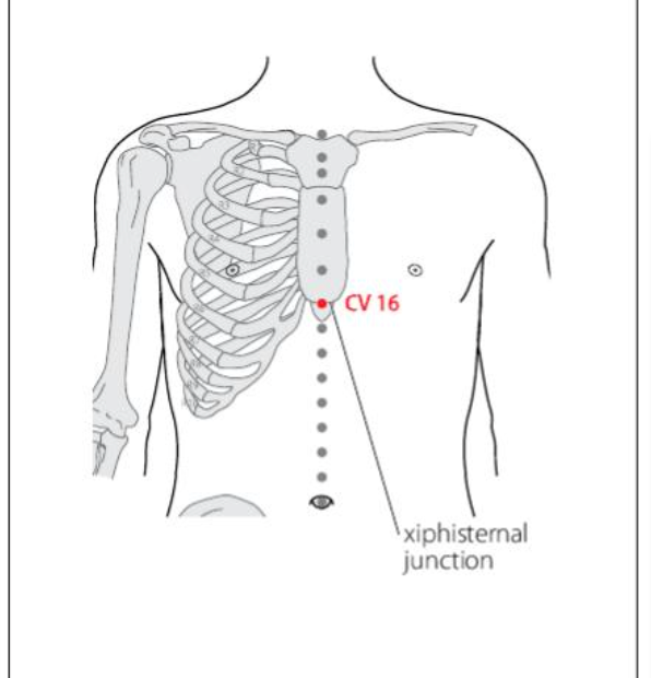 CV 16 Acupuncture Point