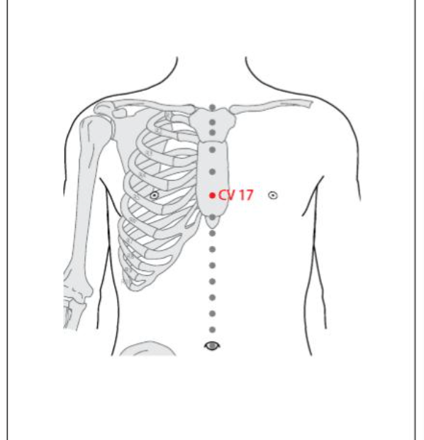 CV 17 Acupuncture Point