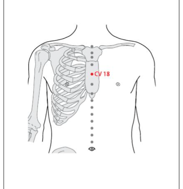CV 18 Acupuncture Point