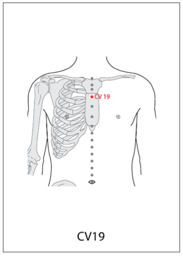 CV 19 Acupuncture Point