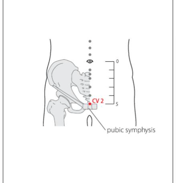 CV 2 Acupuncture Point