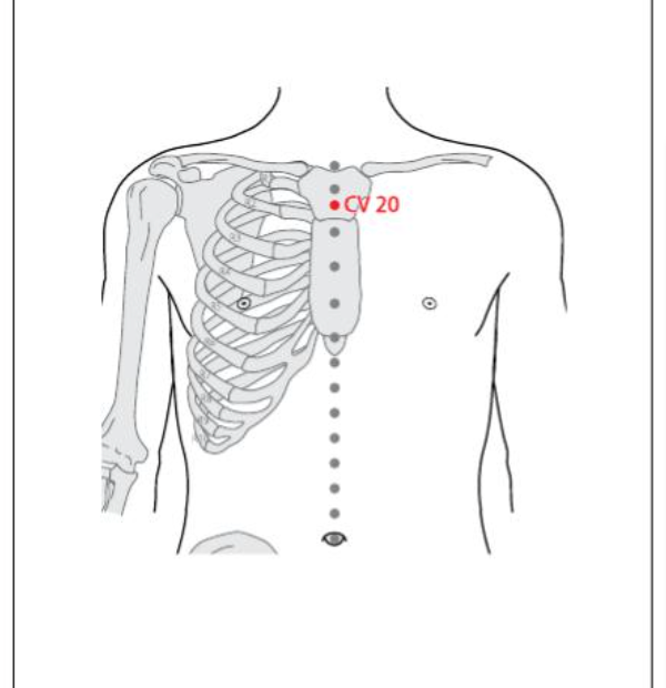 CV 20 Acupuncture Point
