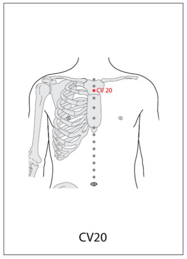 CV 20 Acupuncture Point