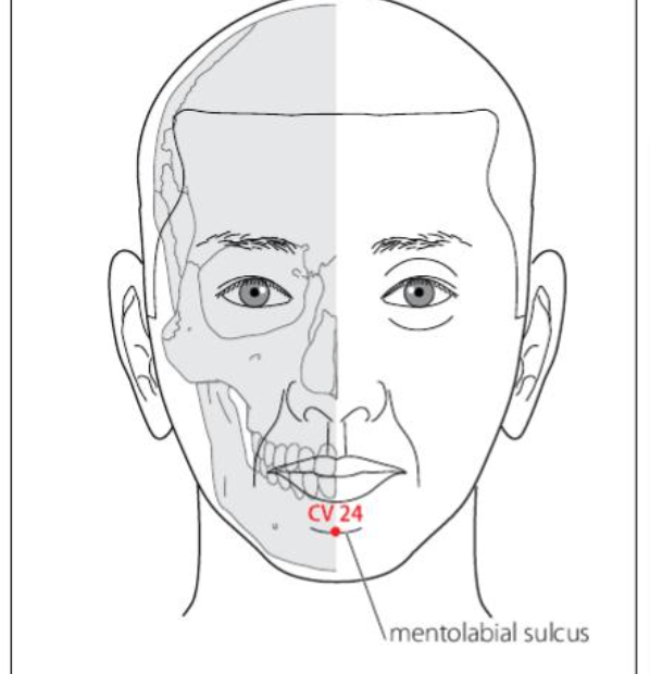 CV 24 Acupuncture Point