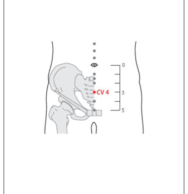 CV 4 Acupuncture Point