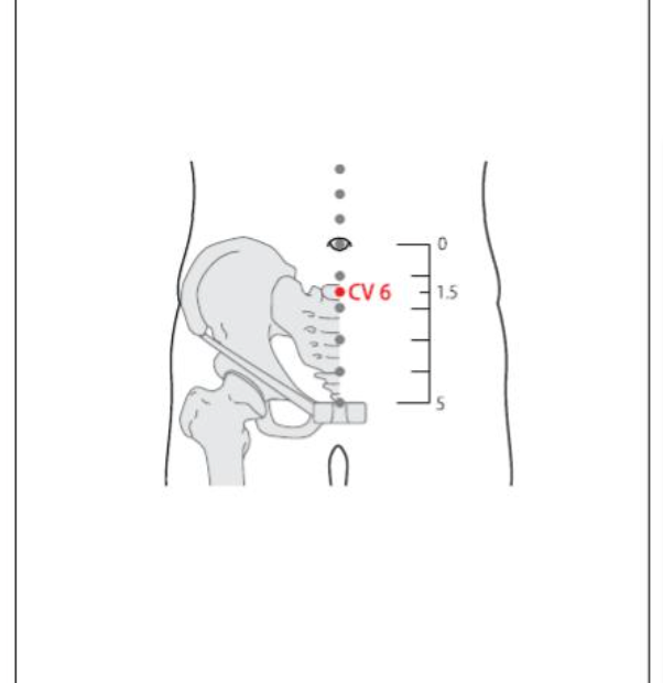 CV 6 Acupuncture Point
