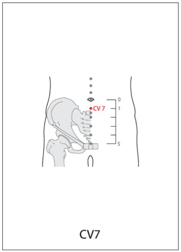 CV 7 Acupuncture Point