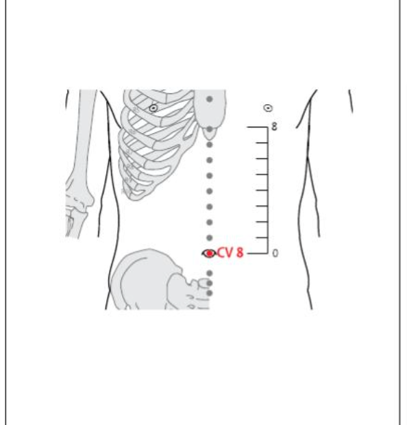 CV 8 Acupuncture Point